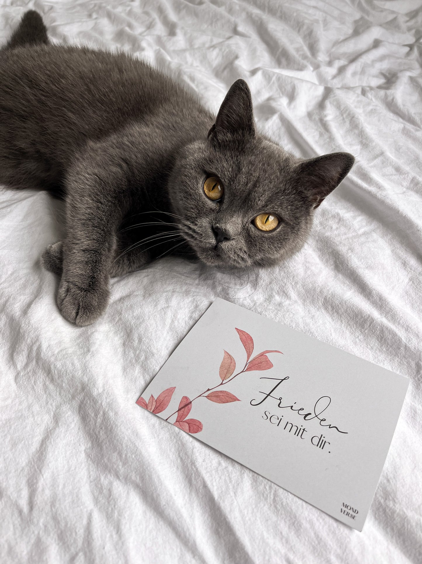 Postkarte „Frieden sei mit dir“